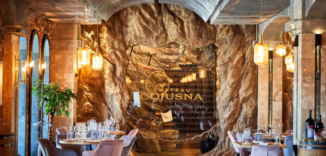 Chateau Cojușna – O Experiență Vinicolă Memorabilă